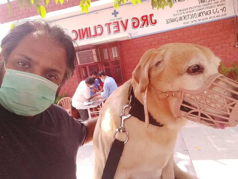 JRG Vet Clinic, photo 5