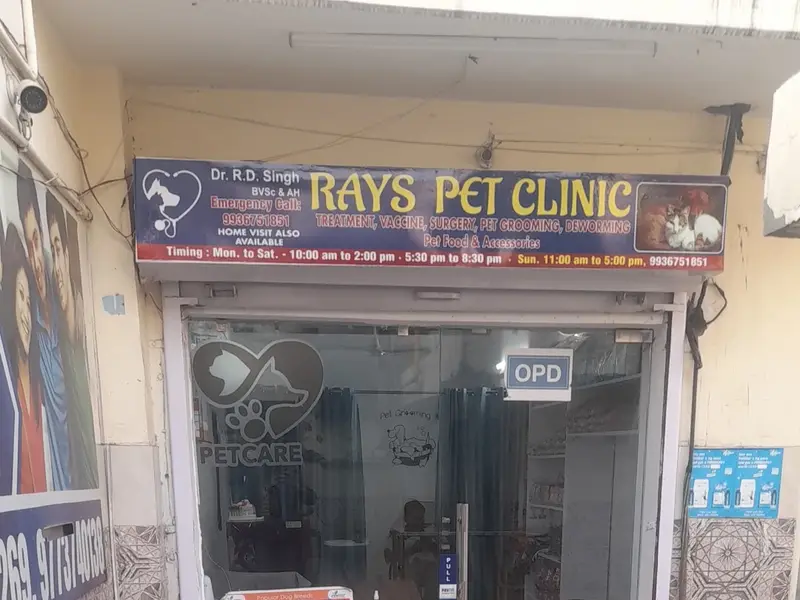 Rays Pet Clinic, photo 5