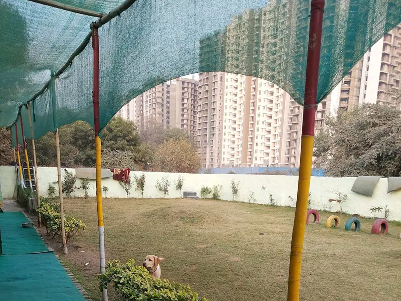 R K Pet Clinic, photo 4