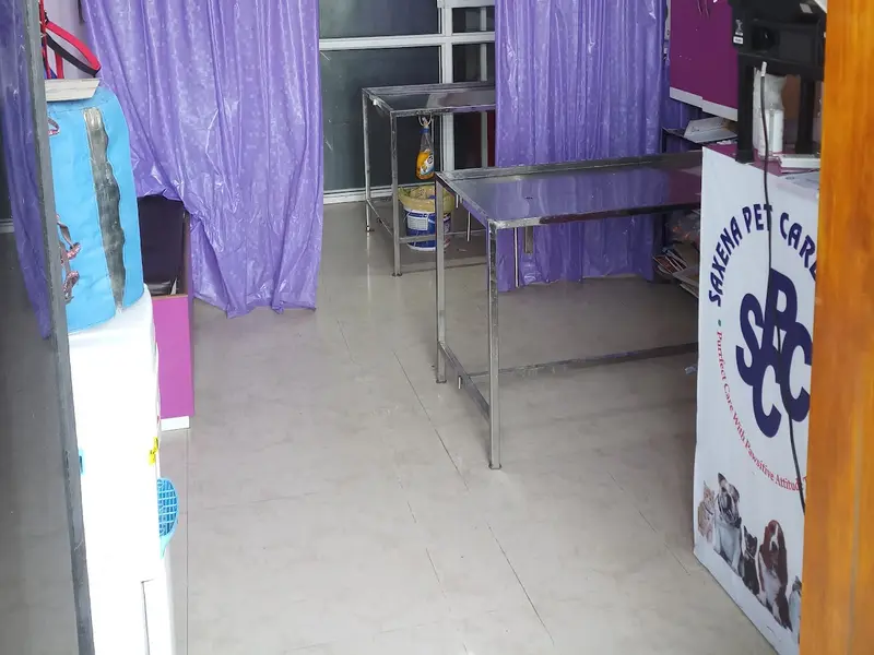 SAXENA PET CARE CLINIC (#1 Best Pet Grooming, Treatment ,Vaccination & Surgical Centre for dogs and cats in Gaur City), photo 4