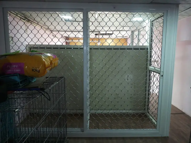 SAXENA PET CARE CLINIC (#1 Best Pet Grooming, Treatment ,Vaccination & Surgical Centre for dogs and cats in Gaur City), photo 5