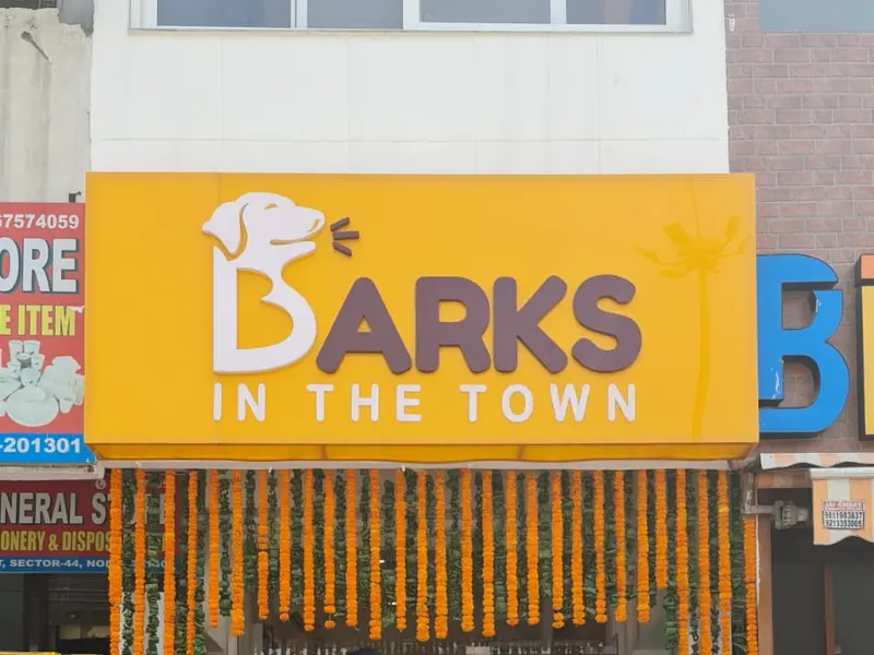 Barks In The Town, photo 5