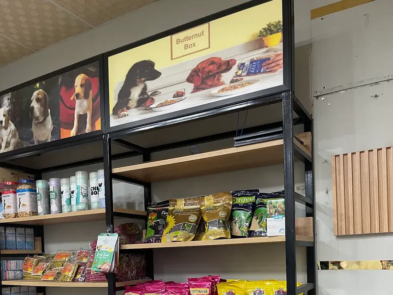 Joey Pet Shop | Pet Food Supply Store | Sec 45, Noida, photo 2