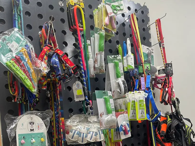 Joey Pet Shop | Pet Food Supply Store | Sec 45, Noida, photo 3