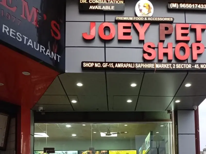 Joey Pet Shop | Pet Food Supply Store | Sec 45, Noida, photo 4