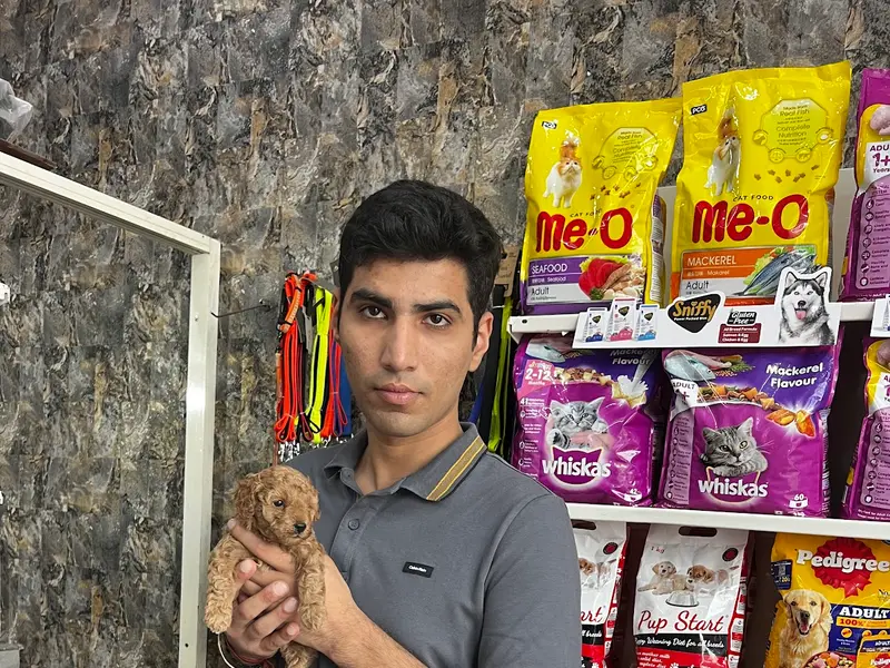 Pet Shop Noida, photo 4