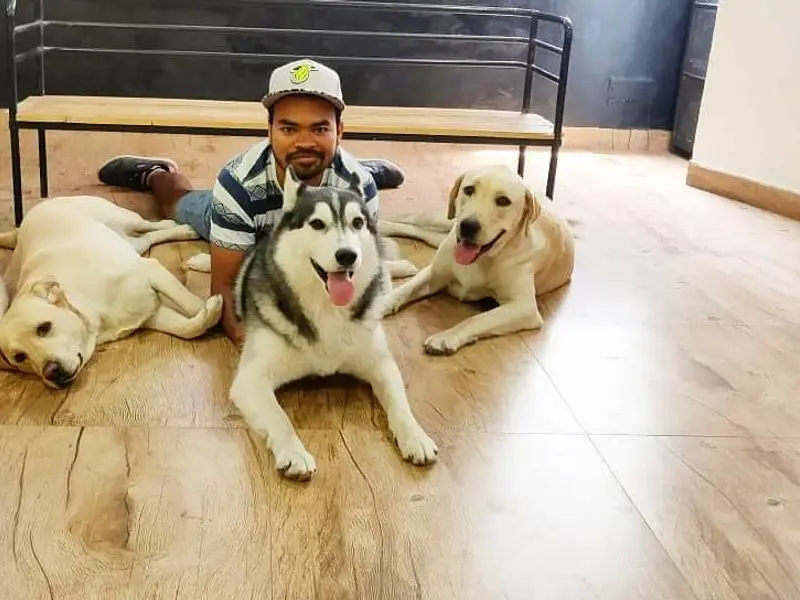 Dog Trainer Noida Pardeep Kumar, photo 3