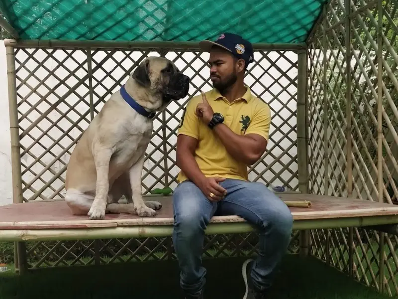 Dog Trainer Noida Pardeep Kumar, photo 4