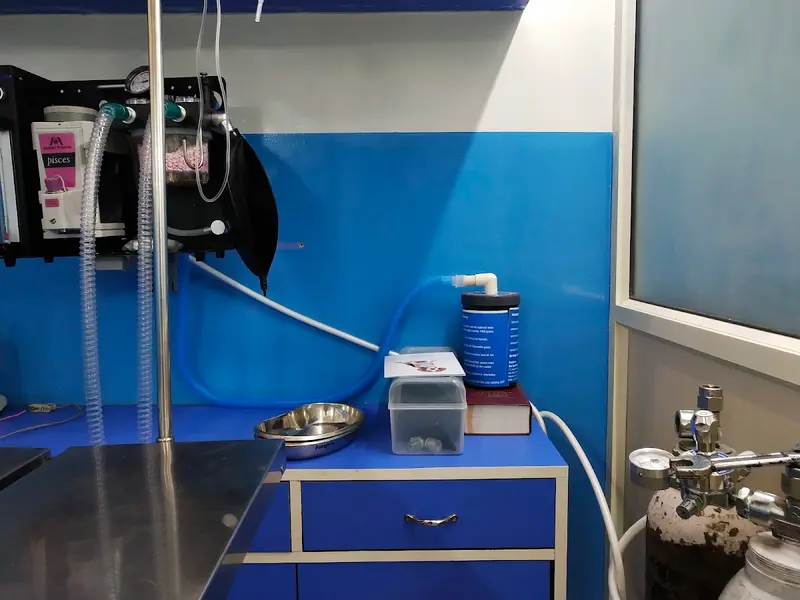 Dr. Ruhil's Pet Clinic, photo 5