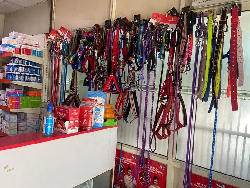 Healwell Pet Clinic, photo 2