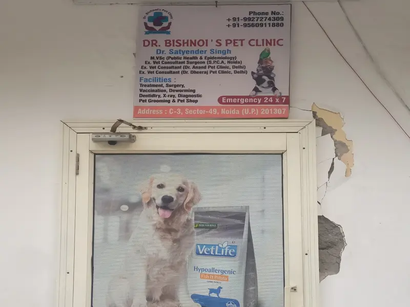Vet Point Clinic, photo 4
