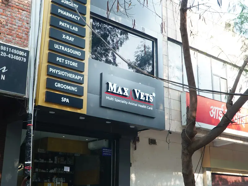Max Vets Noida, photo 2