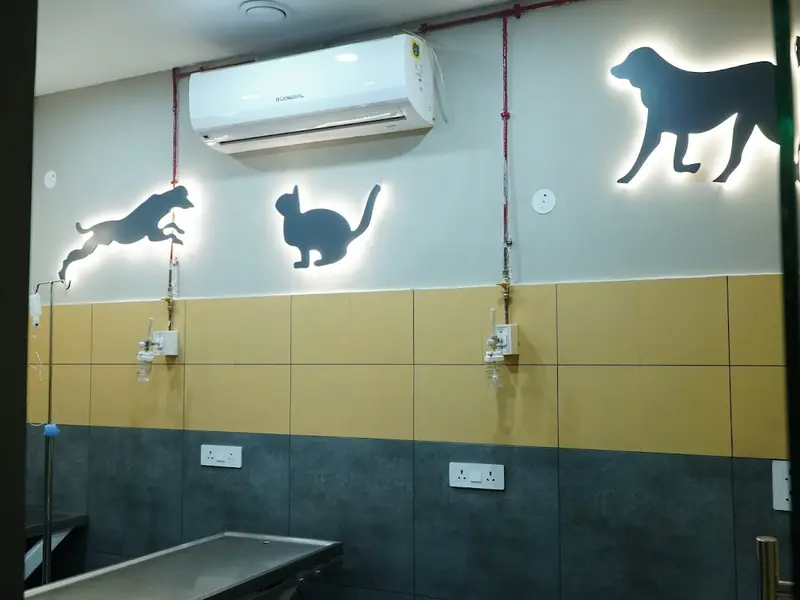 Max Vets Noida, photo 5