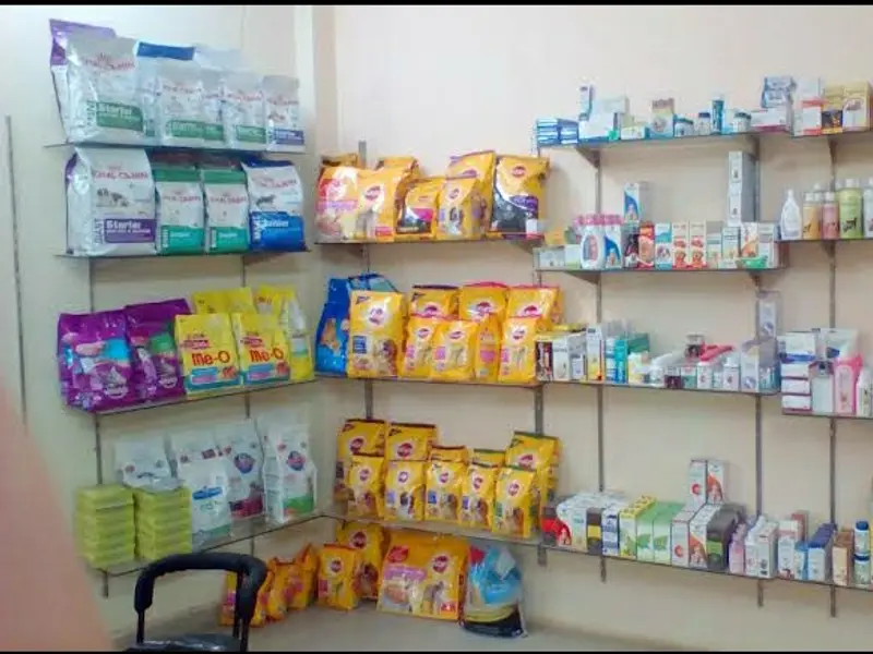 Panacea Veterinary Clinic, photo 2