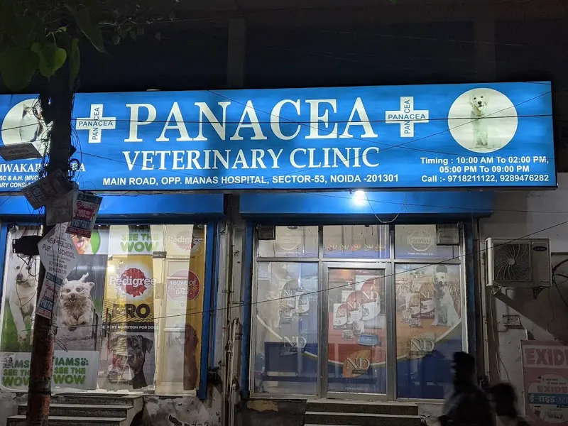 Panacea Veterinary Clinic, photo 3