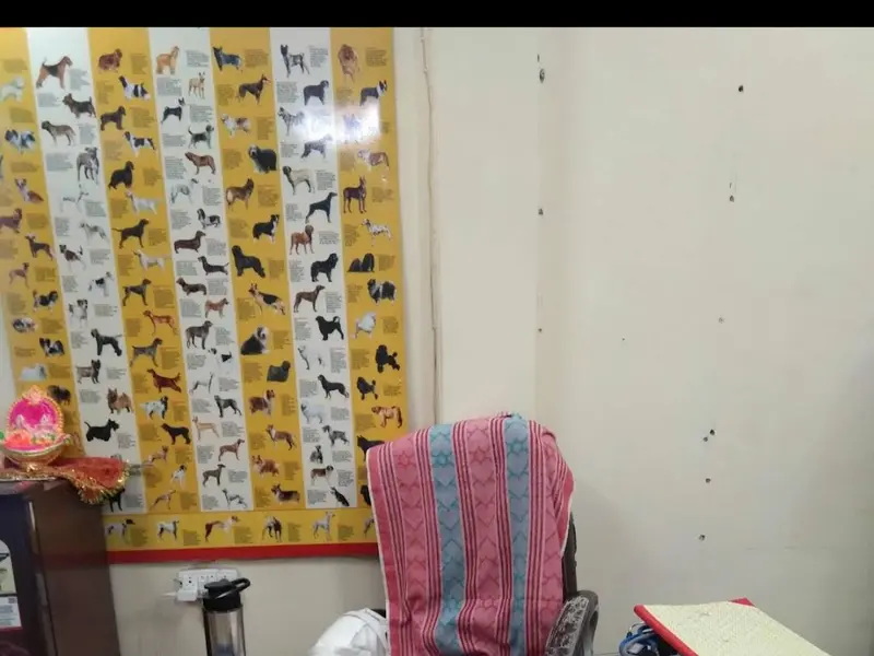 Panacea Veterinary Clinic, photo 4