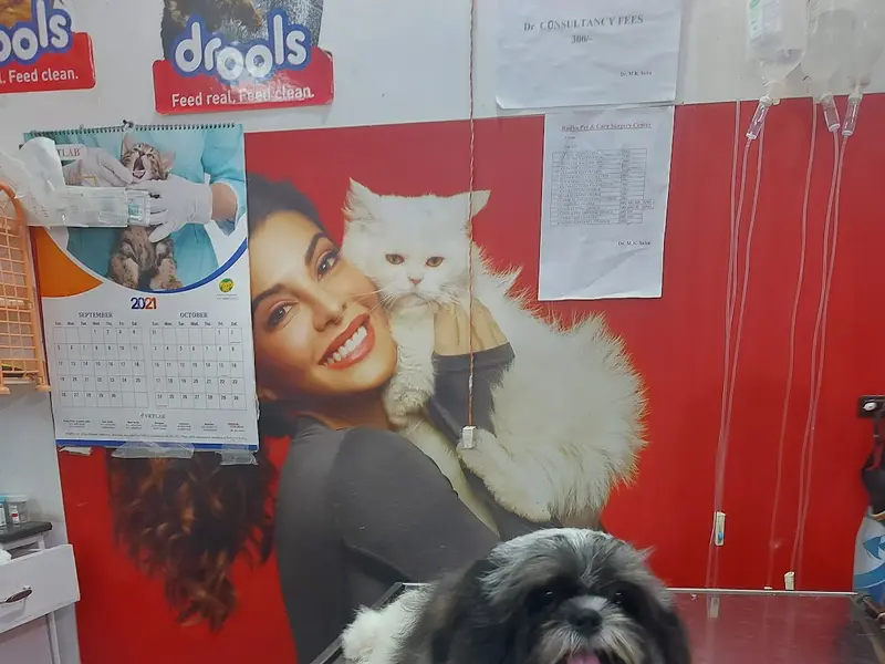 Radha Pet Care & Surgery Center, photo 2