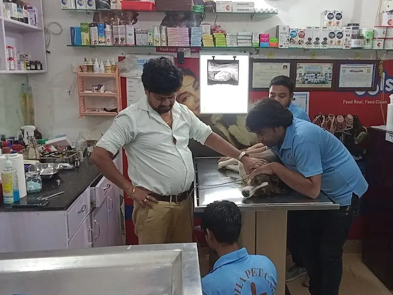 Radha Pet Care & Surgery Center, photo 4