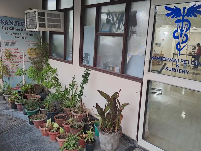 Sanjeevani Pet Clinic and Surgery, photo 2