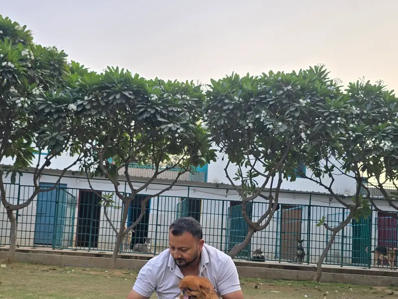 Pet Lovers Hut - Pet Resort GURUGRAM, photo 3