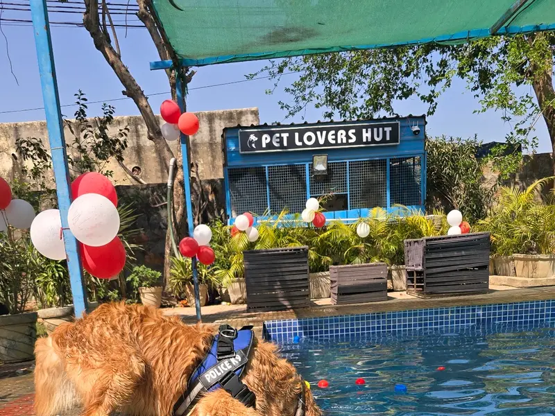 Pet Lovers Hut - Pet Resort GURUGRAM, photo 4