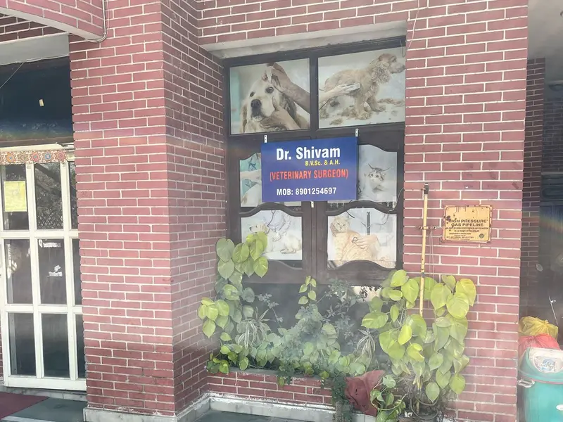 Pet Tales Veterinary Clinic (#1 Best Pet (Dog/Cat) Clinic in Sector 71 Noida), photo 4