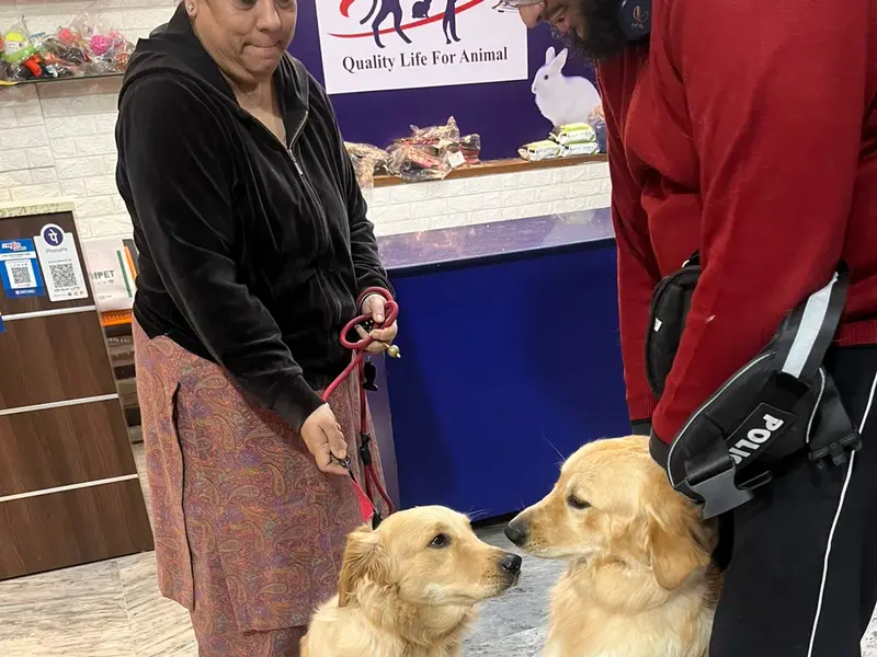 Pet Tales Veterinary Clinic (#1 Best Pet (Dog/Cat) Clinic in Sector 71 Noida), photo 5