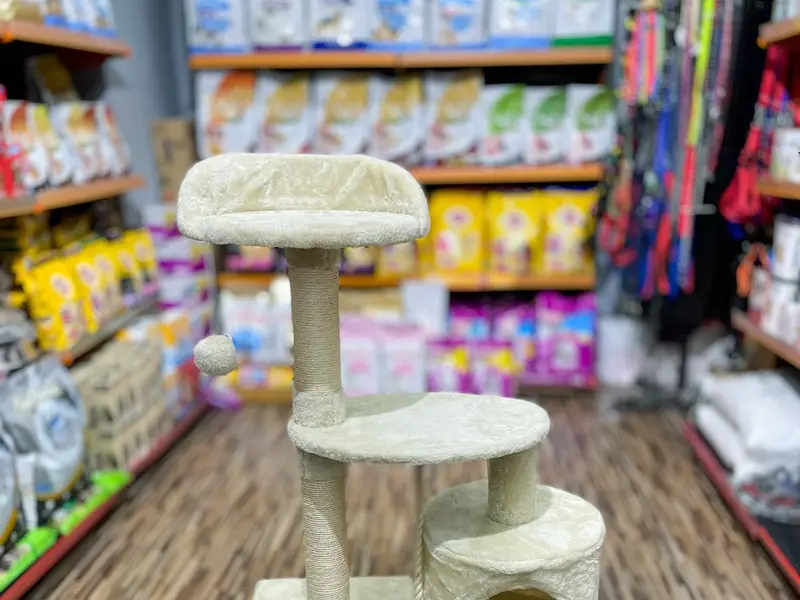 Tails In The House | Dog & Cat Food | Pet Grooming & Spa, photo 3