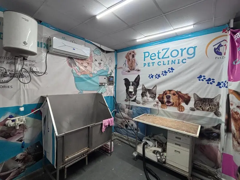 PetZorg PET CLINIC, photo 3