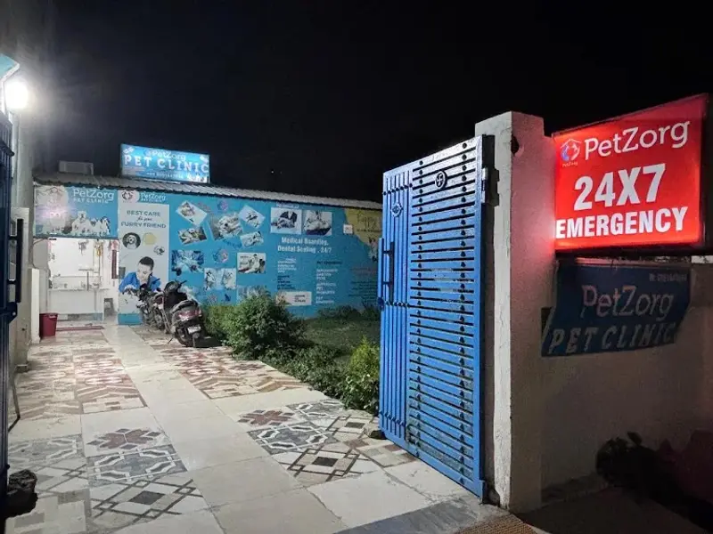 PetZorg PET CLINIC, photo 4
