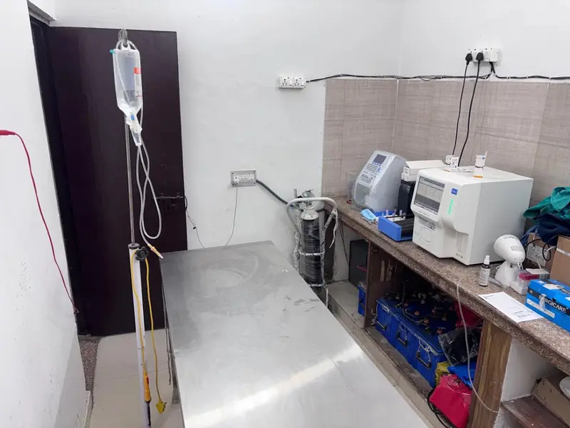 PetZorg PET CLINIC, photo 5