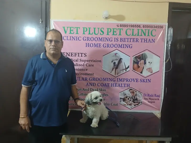 Vet Plus Pet Clinic, photo 2