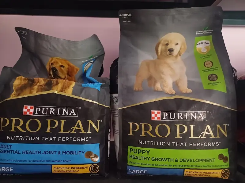 Paw Store : The online pet store, photo 5