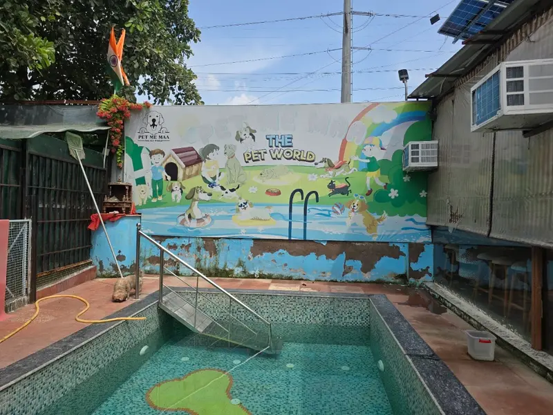 Cafe Pooch - Best Pet Friendly Cafe, Dog Day Care, Grooming Services, & Bathing Services in Noida, photo 3