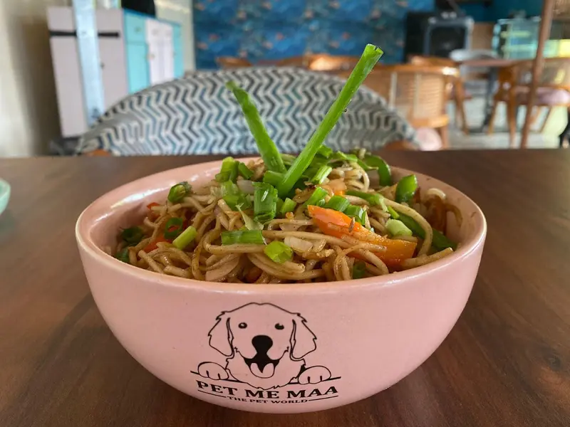 Cafe Pooch - Best Pet Friendly Cafe, Dog Day Care, Grooming Services, & Bathing Services in Noida, photo 4