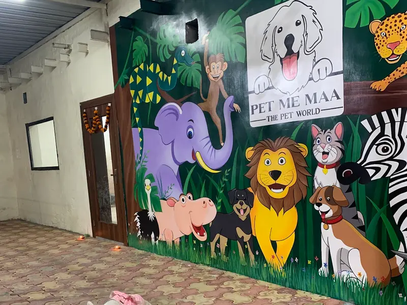 Pet Me Maa- Pet Boarding, Grooming & Daycare Near You in Noida | Pet Friendly Cafe in Noida, photo 4