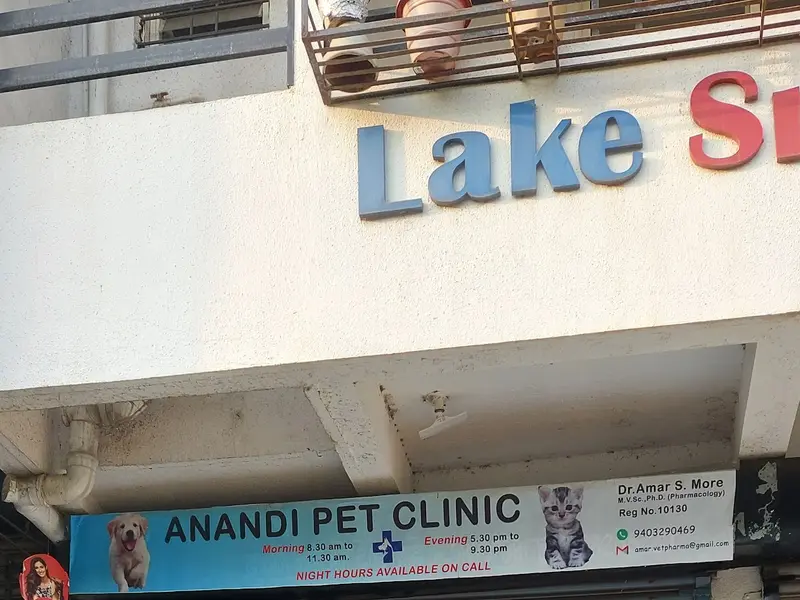 Anandi Pet Clinic, photo 3