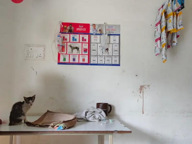 Anandi Pet Clinic, photo 5