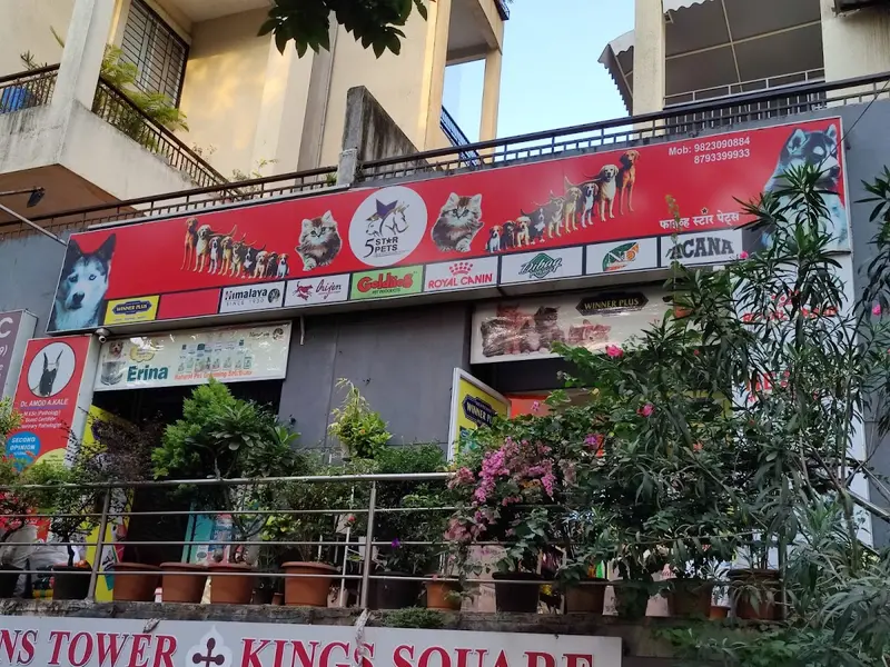 5 star pets and pet clinic, photo 4