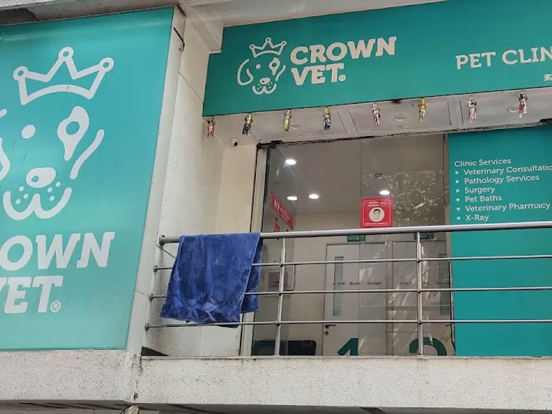 Crown Vet Aundh, photo 3
