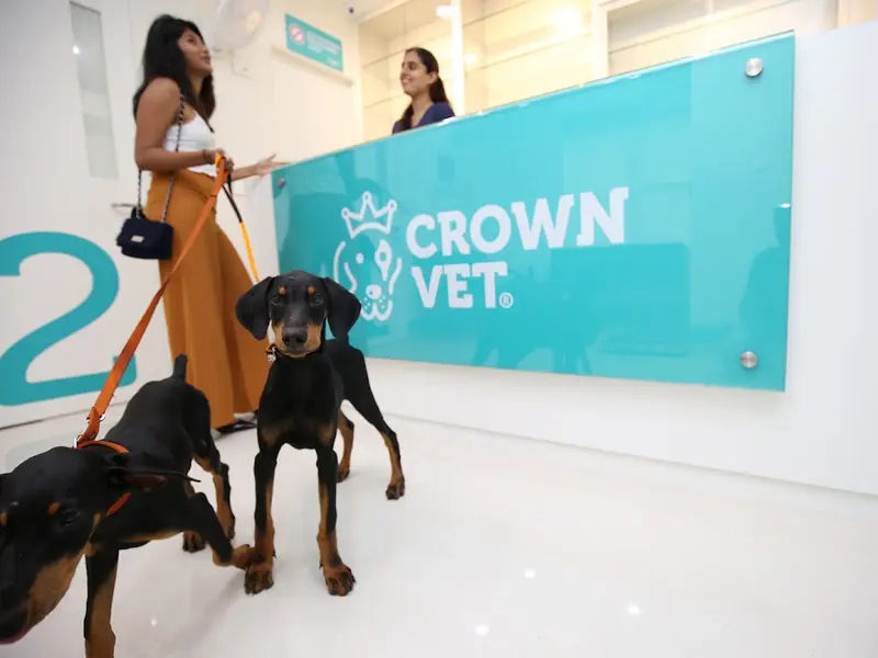 Crown Vet Aundh, photo 5