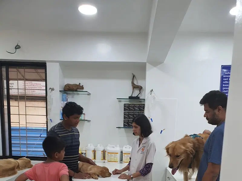 Pet Aid Advanced Small Animal Clinic Aundh, photo 3