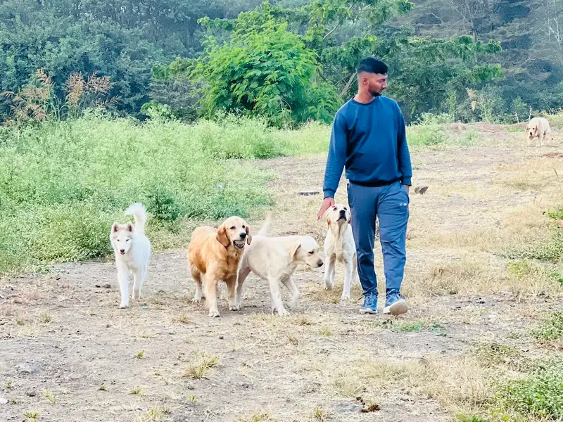 Shree Kennels, photo 4