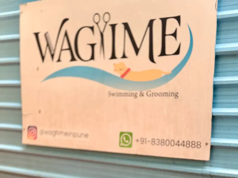 Wagtime Dog Swimming and Spa, photo 4