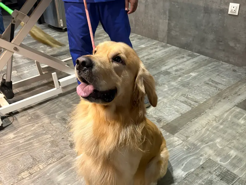 Animal Profile Pet Clinic And Diagnostics Baner, photo 2