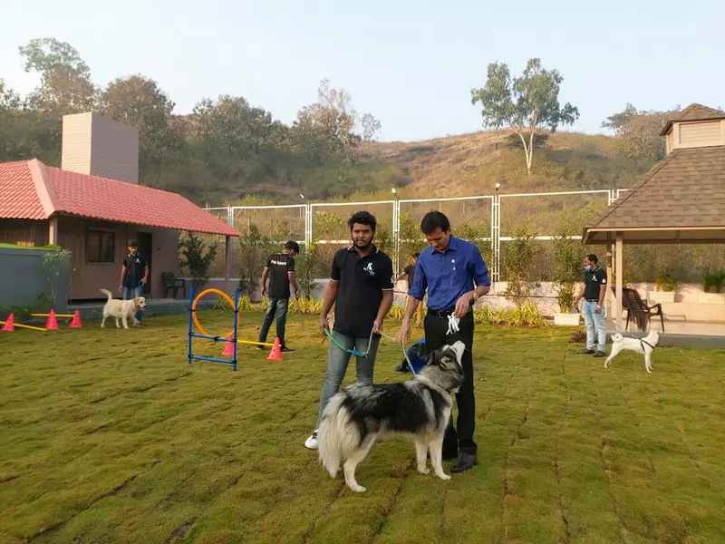 Dr.Aher's Pet Resort, photo 4