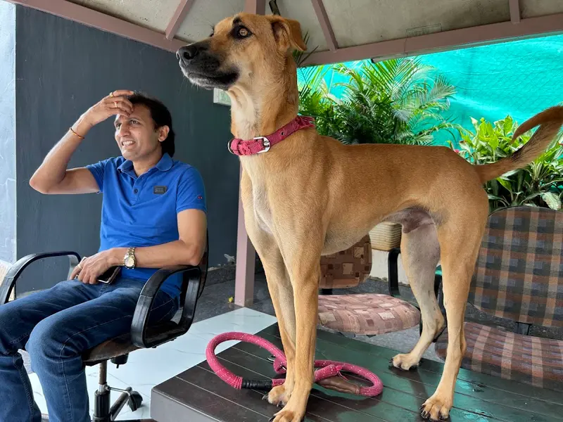 Dr.Aher's Pet Resort, photo 5