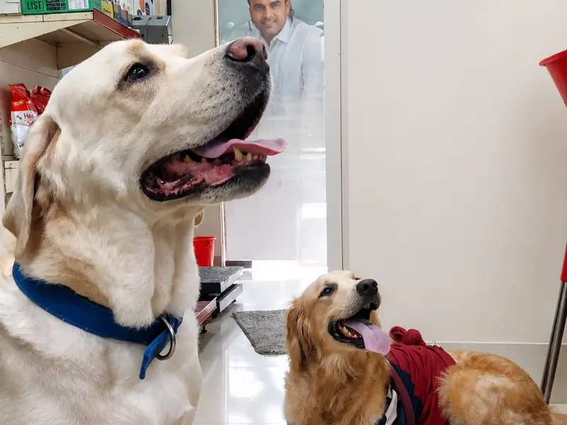 Pets LifeLine, photo 2