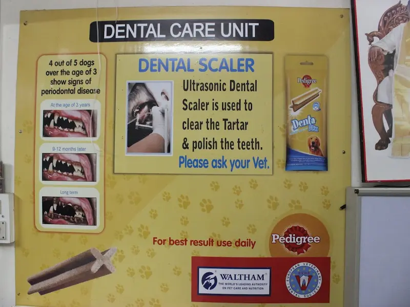 Pets LifeLine, photo 3