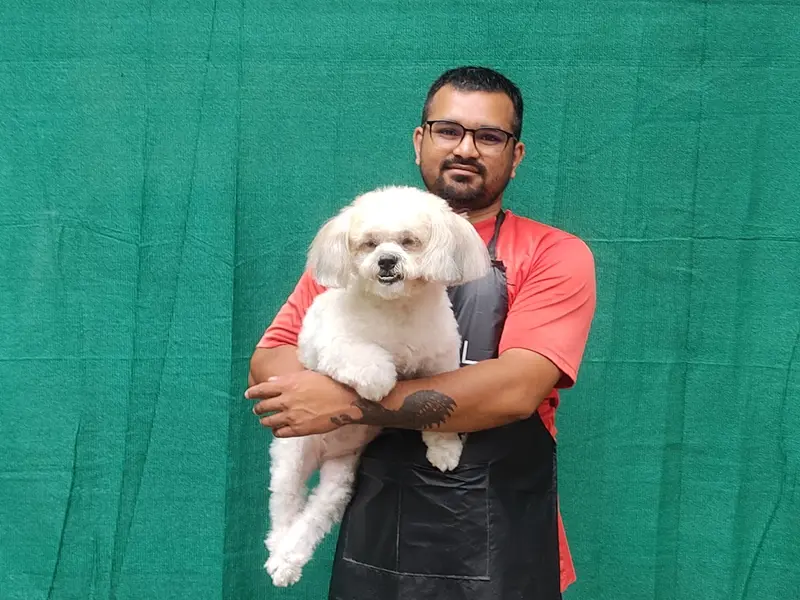 Dog Mitra | Pet Grooming Salon, photo 2